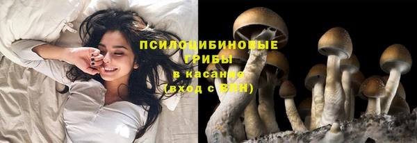 кокаин премиум Белокуриха